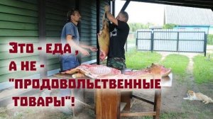 Необычный гость в нашей деревне. Пчелы и пчеловодство. Получили много еды и другие новости из села