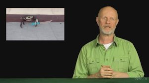 Гоблин Про шумных опасных крабов