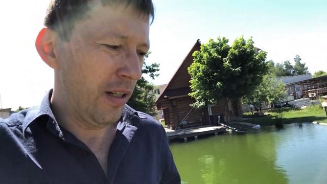 Карп КОИ в пруду. Запускаю карпа КОИ.