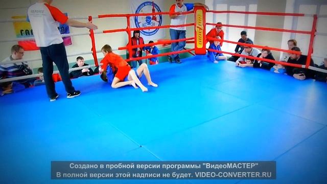 Турнир по самбо смотреть онлайн