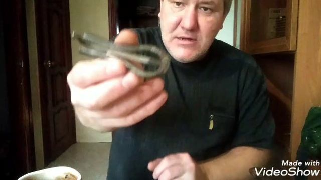 Моё хобби и увлечения