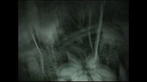 Подросток запечатлел свои последние часы жизни.