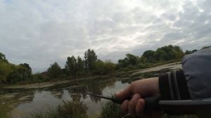 Рыбалка ,ОТДЫХ , РЕКА НЕРЛЬ!!!!