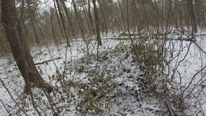 ХОДОВАЯ ОХОТА НА КАБАНА Ч.1/ОХОТА ПО ПЕРВОМУ СНЕГУ/ Running wild boar hunting