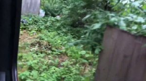 Будни ассенизатора! Ассенизатор Man