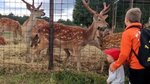 Зоопарк "Горки"