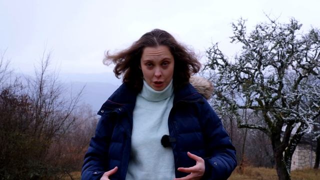 Морфологические разборки: категория рода - М, Ж, Ср, что ещё? смотреть онлайн