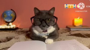 Анонс Котинет НТН6 22.02 2024