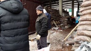 Где покупаю кору лиственницы. Сколько стоит, какое качество. Как использую мульчу в своём саду