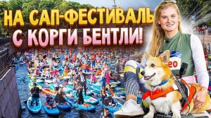 Фонтанка SUP с Анжеликой и корги Бентли!