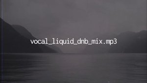 Vocal Liquid DnB Mix January 2020 | mixingbowl original