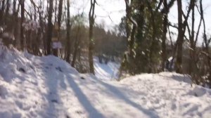 Coco Pommel (MLP in real life)