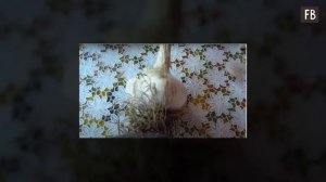 Чеснок остается сочным, ароматным и хранится целый год: метод хранения в банке