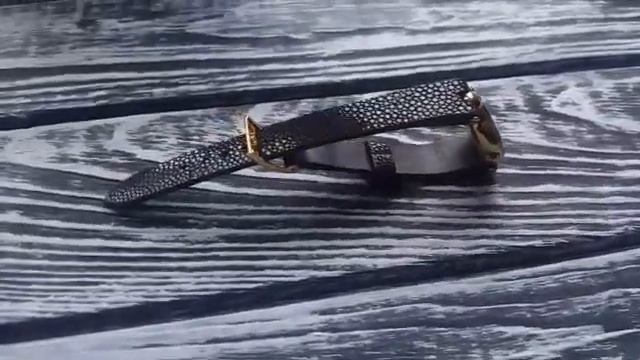 Ремешок на часы Rado из кожи ската смотреть онлайн