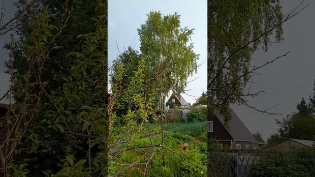 Дача день за днем. Скандал в сорочином семействе. смотреть онлайн