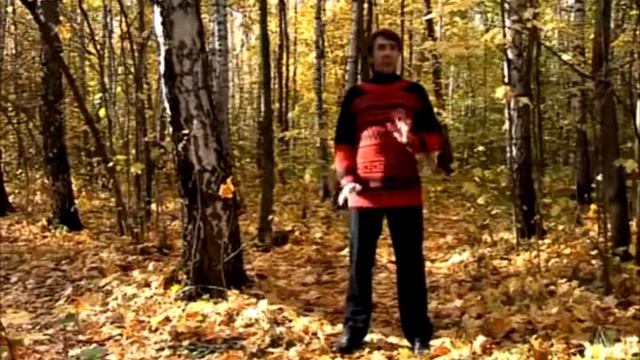 Полный комплекс дыхательной гимнастики Стрельниковой с пояснениями Щетинина М Н