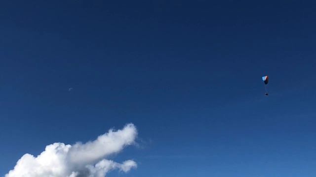 Loop Trance Jam No. 8. - Fender American Professional ii Stratocaster смотреть онлайн