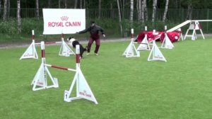 Чемпионат СПб по аджилити, 02.06.2012 г., Городская Собака V22