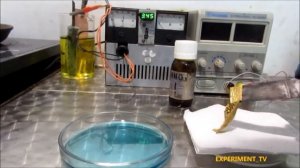 Растворение золота ртутью и получение золотой фольги на меди.