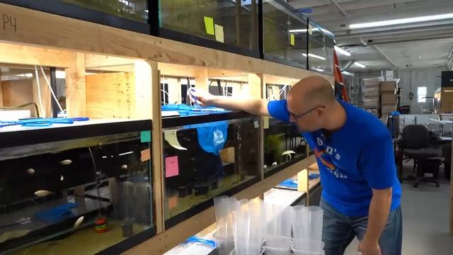 HEALTH checks and tests, fishmonger vlog смотреть онлайн