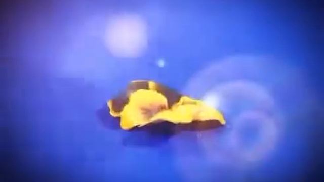 Декупаж объемный вазы. Наталья Жукова. Видео мастер-класс. Sospeso Trasparente смотреть онлайн