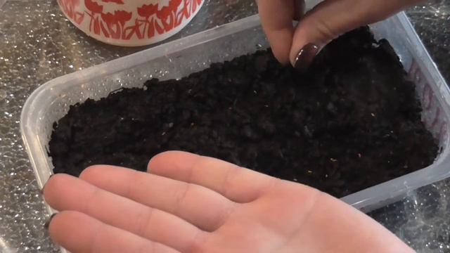 Посадка Виолы смотреть онлайн