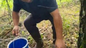 КУПИЛИ ДОМ, ХУТОР ПОСРЕДИ ДЕРЕВНИ у БОЛОТА и ОСТАВИЛИ ГОРОД! СБОР ГРИБОВ.