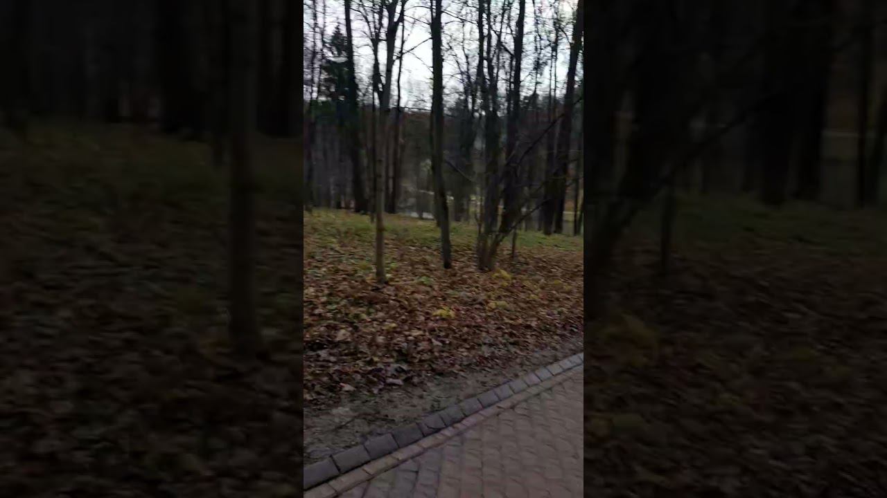 #бег #зож #тренировки #спорт #активность смотреть онлайн