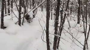 Зимний костюм Тритон Pro -45 Вельбоа. Тест в -25 до -35 в ходовом варианте.