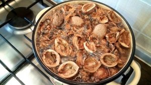 КАК ПРИГОТОВИТЬ ОТВАР ИЗ СКОРЛУПЫ ГРЕЦКОГО ОРЕХА