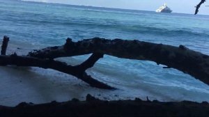 Обзор острова отеля Malahini Kuda Bandos Maldives за 12 минут