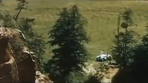 Эдуард Изместьев   Незнакомка