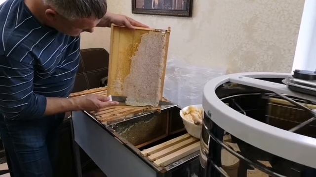 Пасека на даче. И первый мёд. смотреть онлайн