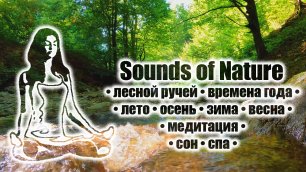 Лесной ручей • времена года • лето • осень • зима • весна • медитация • сон • спа • Sounds of Nature