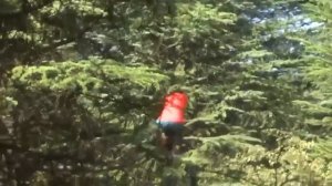 Мужик пугает прохожих в костюме медведя