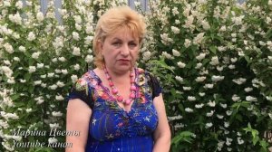 ЧУБУШНИК - ЧУДО - КУСТАРНИК. Выращивание, уход, посадка, полив, размножение, цветение