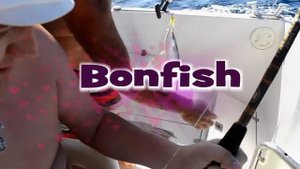 Куба Рыбалка на кубе fishing in CUBA