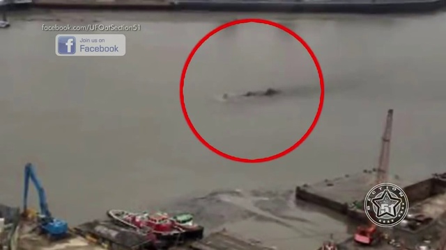 Чудища, из воды вынырнуло, и пропало. смотреть онлайн