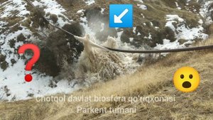 Чаткальский государственный биосферный заповедник