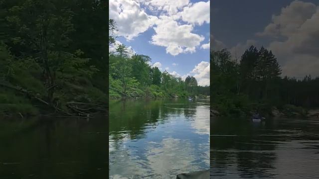 певчая зелёная Илеть #travel #nature #sup #сап #сапборд #boat #lake #summer