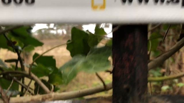 Jurata. Spacer po miejscowości. смотреть онлайн