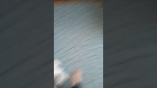 Короче говоря мне подарили щенка! смотреть онлайн