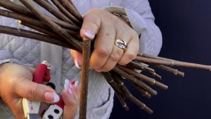 ВЕСЕННЯЯ ОБРЕЗКА ГОРТЕНЗИИ | ПИТОМНИК ЛЕСКОВО