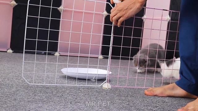DIY Cubic House For Pomeranian Puppies & Munchkin Kitten | How To Make House For DogCat - MR PET #6 смотреть онлайн