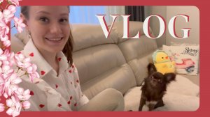 VLOG 25.03.2024 Тедди 11 месяцев!🥳