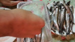 ВЯЛЮ МОЙВУ или КАК МОЙВУ ПОМЫТЬ, ЗАСОЛИТЬ за 1 5 часа, ПРОМЫТЬ И ВЯЛИТЬ ДОМА! ВКУСНО БЫСТРО РЕЦЕПТ