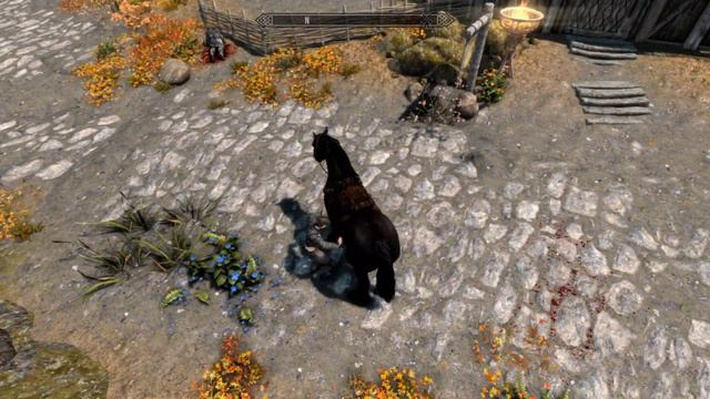 Guild Duelist 2.0 Reborn смотреть онлайн