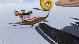 Reptiles SIZE Comparison ? ? ? Animal Size Comparison