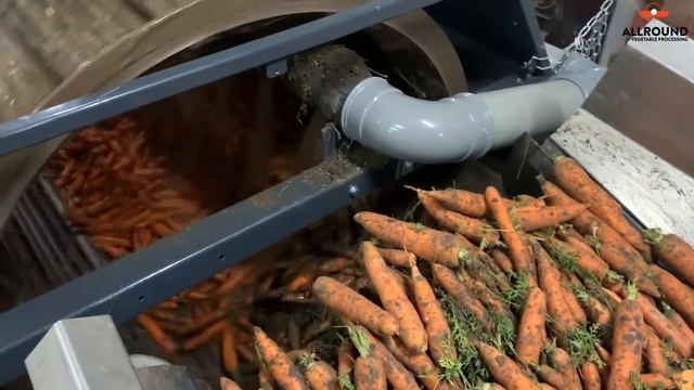 Машина для мойки овощей C 500 Allround Vegetable Processing