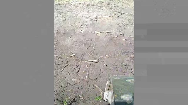 Уничтоженный под Харьковом БТР-4 